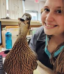 Elisa Root's Instagram, Twitter & Facebook