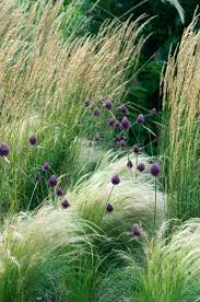 Cliffs Luxury Real Estate Resales Grasses Garden Plants Landscape Design