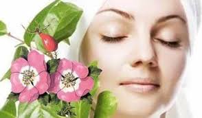 Aceite de Rosa Mosqueta San Diego/Tijuana