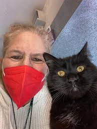 Steve Applegate Mari-Ann Koudijs I found Vesta for you ..... he's a  beauty!!! 🐾🐾🐾🐾🐾🐾🐾🐾🐾