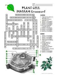 Pdf drive investigated dozens of problems and listed the biggest global issues facing the world today. Plant Cell Crossword With Diagram Printable Distance Learning Options