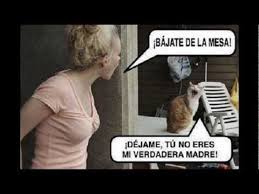 Resultado de imagen para memes chistosos