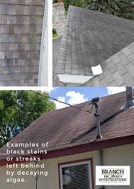 It cleans bugs and streaks, and leaves a nice shine with no water required. Removing Moss And Algae From Your Roof Branch Property Investigations