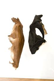 Image result for tbn:F7HKJEZ28fhrGM::www.artthrob.co.za/06jan/images/borland02a.jpg