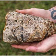 Bahkan, paragraf yang baik juga menentukan seberapa bagus tulisan seseorang. 5 Fakta Unik Ambergris Muntahan Paus Yang Jadi Bahan Parfum Premium Hot Liputan6 Com