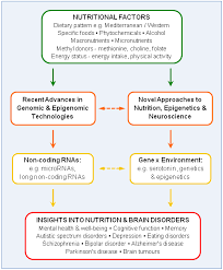 The gain medium is put into an excited state by an external. Nutrients Free Full Text Genomic And Epigenomic Insights Into Nutrition And Brain Disorders Html