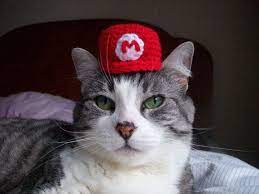 Mario Cat Hat Super Mario Cat Pet Costumes Crochet Cat