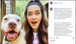 Visit the fort worth, tx pet supplies plus neighborhood pet store near you. The Best Pet Care Brands On Social Media Moondust Social Media Content Agency