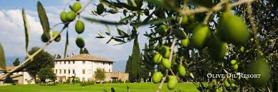 Villa Campestri Olive Oil Resort Hotel In Florence Vicchio Di Mugello Appartments Possible Great Kitchen Hotels And Resorts Resort Europe Travel
