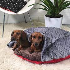 Whether you are learning the basics or building on your existing skills our step by step guides will help you become a super crafter! Doggie Donut Diy Dog Bed Pattiewack
