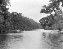 Image result for Phoebe Gray 1942 Mercury