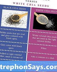 Diferenca Entre Sementes De Chia Preto E Branco Diferenca Entre 2022