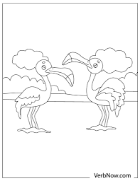 11+ flamingo coloring pages for printing and coloring. Free Flamingo Coloring Pages For Download Pdf Verbnow