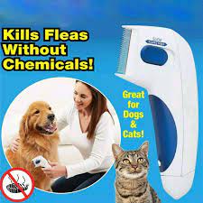 Ch nit electric boy suitable also for pet. Professional Flea Electric Flea Comb Head Lice Removal Flea Controller Killer Electric Comb Great Doctor For Dogs Cats Pet Dog Combs Aliexpress