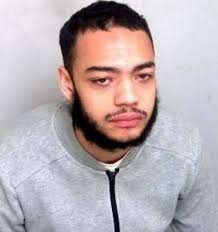 Jailed in Essex: The criminals who have been put behind bars in 2019 so far 