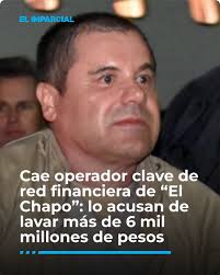Ciudad de México.- Agentes de la Policía Federal Ministerial detuvieron a  Gustavo Alfaro Rosas, uno de los presuntos operadores financieros  vinculados a Manuel Rodolfo Trillo Hernández “La Trilladora”, considerado  el cerebro económico