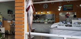 Αγία πετρούπολη, περιφέρεια λένινγκραντ (leningrad), περιφέρεια αρχάνγκελσκ. Gri Gri Ix8yopwleio Petroypolh