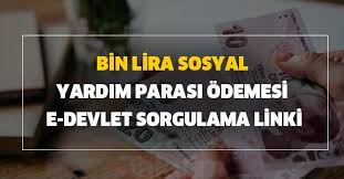 Pandemi sosyal yardım sonuç sorgulama nasıl yapılır? Bin Lira Sosyal Yardim Parasi Odemesi E Devlet Sorgulama Linki Pandemi 1000 Tl Son Dakika Sosyal Destek Sonuclari Sayfasi Takvim