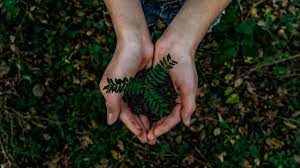 So, it is necessary to maintain. When Is Earth Day 2021 Everything You Need To Know Information News