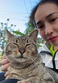 Heartwarming Moments with Stray Cats