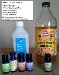 Dawn dish soap is considered to be a natural flea killer. Natural Flea Treatment For Dogs Thriftyfun