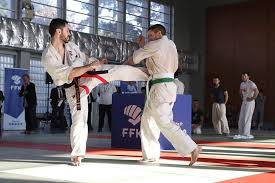 Resultats De La Coupe De France Seniors Et Veterans 2018 Shinkyokushinkai France