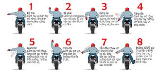 Selamat malam para pecinta motor 2 tak, baik itu rx king, ninja rr, f1zr, satria dan masih banyak lagi, di video yang. Nhá»¯ng Dáº¥u Hiá»‡u Cac Biker Cáº§n Biáº¿t Khi Ä'i Tour Theo Ä'oan 2banh Vn