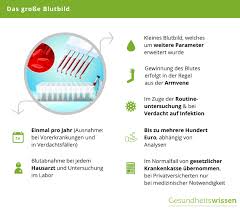 Man wird zum arzt zitiert und bekommt die anweisung mit nüchternem magen zu kommen. Grosses Blutbild Die Wichtigsten Werte Erklart