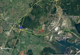 Image result for Buchnera longespicata