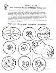 Pin On Classroom Notes