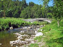 Affluente — ● affluent , affluente adjectif ( latin affluens ) se dit d un cours d eau qui se jette dans un autre. Torrente Agogna Pesca Fiume