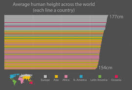 The Average Height Digg