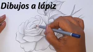 We did not find results for: Dibujos A Lapiz Como Dibujar Una Flor Rosa Youtube