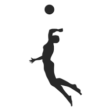 Male Volleyball Player Spiking Silhouette Volleyball Players Male Logo Volleyball