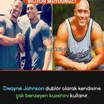 ece ilkbahar adli kullanicinin alintilar panosundaki pin gercekler biliyor muydunuz bilgi