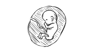We did not find results for: How To Draw Baby In The Womb Youtube