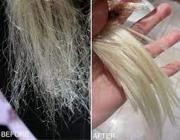 Though my hair was only just below the shoulders, i could pull a strand. Diy Miracle Hair Repair Recipe Hair Repair Hair Remedies Hair Treatment