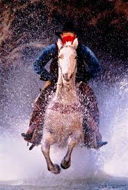 Robert Latorre — Photographer