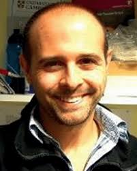 Biophotovoltaics: oxygenic photosynthetic organisms in the world of  bioelectrochemical systems