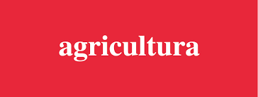 Radio en vivo radio agricultura 92.1 fm. Agricultura Inicio Facebook