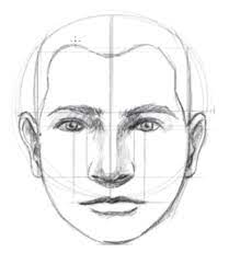 1/2 1/2 1/2 step 1: How To Draw A Face Facial Proportions