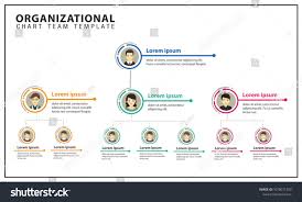 Organization Chart Team Business Corporation