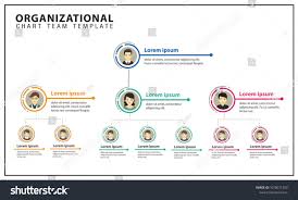 organization chart team business corporation