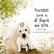 Princesses Come In All Shapes And Sizes Dog Quote Sassy Pants Sassy Pants Quotes Dog Quotes