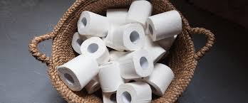 We did not find results for: How To Choose The Most Eco Friendly Toilet Roll