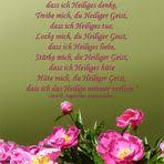 Finden sie mehr als 1000 der besten kostenlosen pfingstsonntag bilder für jappy und facebook. Frohe Pfingsten Spruchkarte Mit Segenswunsch Foto Bild Karten Und Kalender Spruchkarten Pfingsten Bilder Auf Fotocommunity