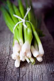 Green onion selection and storage. How To Store And Cut Green Onions