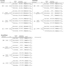 Boiled Fried Or Roasted Determining Culinary Practices In Medieval France Through Multidisciplinary Experimental Approaches Sciencedirect