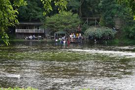 茶房柿田川 (清水町) の口コミ4件 - トリップアドバイザー