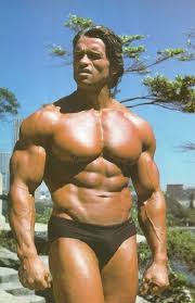 It was rumored that arnold would need to train with at least three different training partners at separate workouts because no mere mortal could keep up with the champ each training session, week in. Arnold Schwarzenegger 2018 Mr Olympia And Digital Disruption